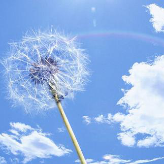 幸福就在進(jìn)步和領(lǐng)悟之間